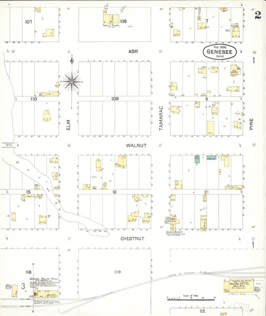 Sanborn Fire Insurance Map from Genesee, Latah County, Idaho (1896), Sheet #0002 - Historic Sanborn Fire Insurance Map Print, vintage old map wall art, antique decor, genealogy gift, Idaho Idaho map