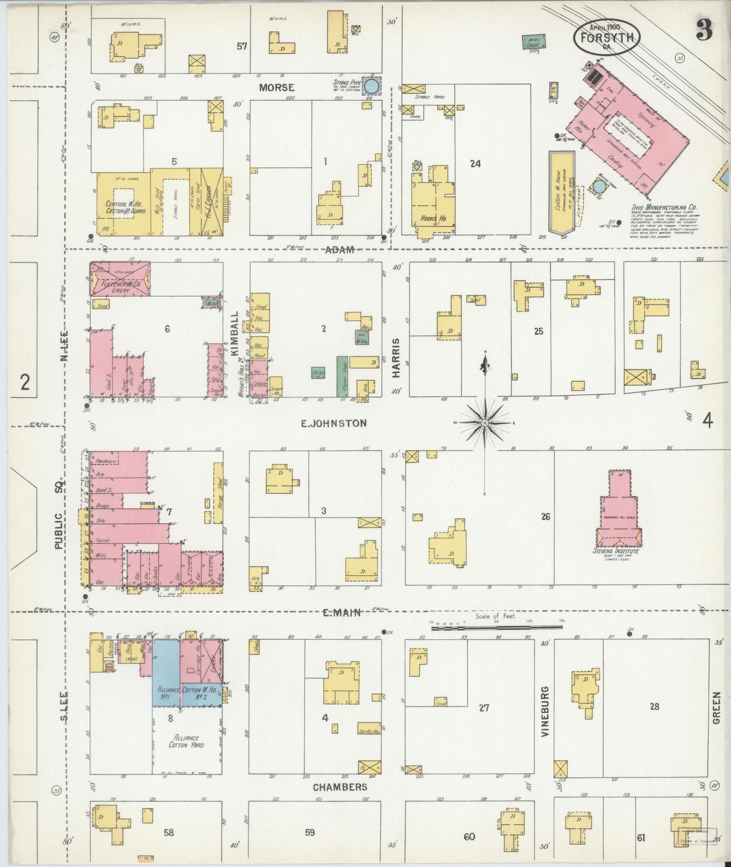 Sanborn Fire Insurance Map from Forsyth, Monroe County, Georgia (1900), Sheet #0003 - Historic Sanborn Fire Insurance Map Print, vintage old map wall art, antique decor, genealogy gift, Georgia Georgia map