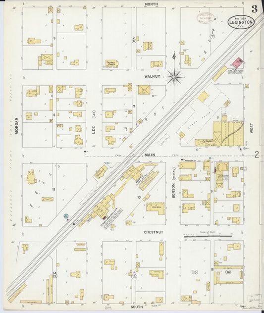 Sanborn Fire Insurance Map from Lexington, McLean County, Illinois (1899), Sheet #0003 - Historic Sanborn Fire Insurance Map Print, vintage old map wall art, antique decor, genealogy gift, Illinois Illinois map