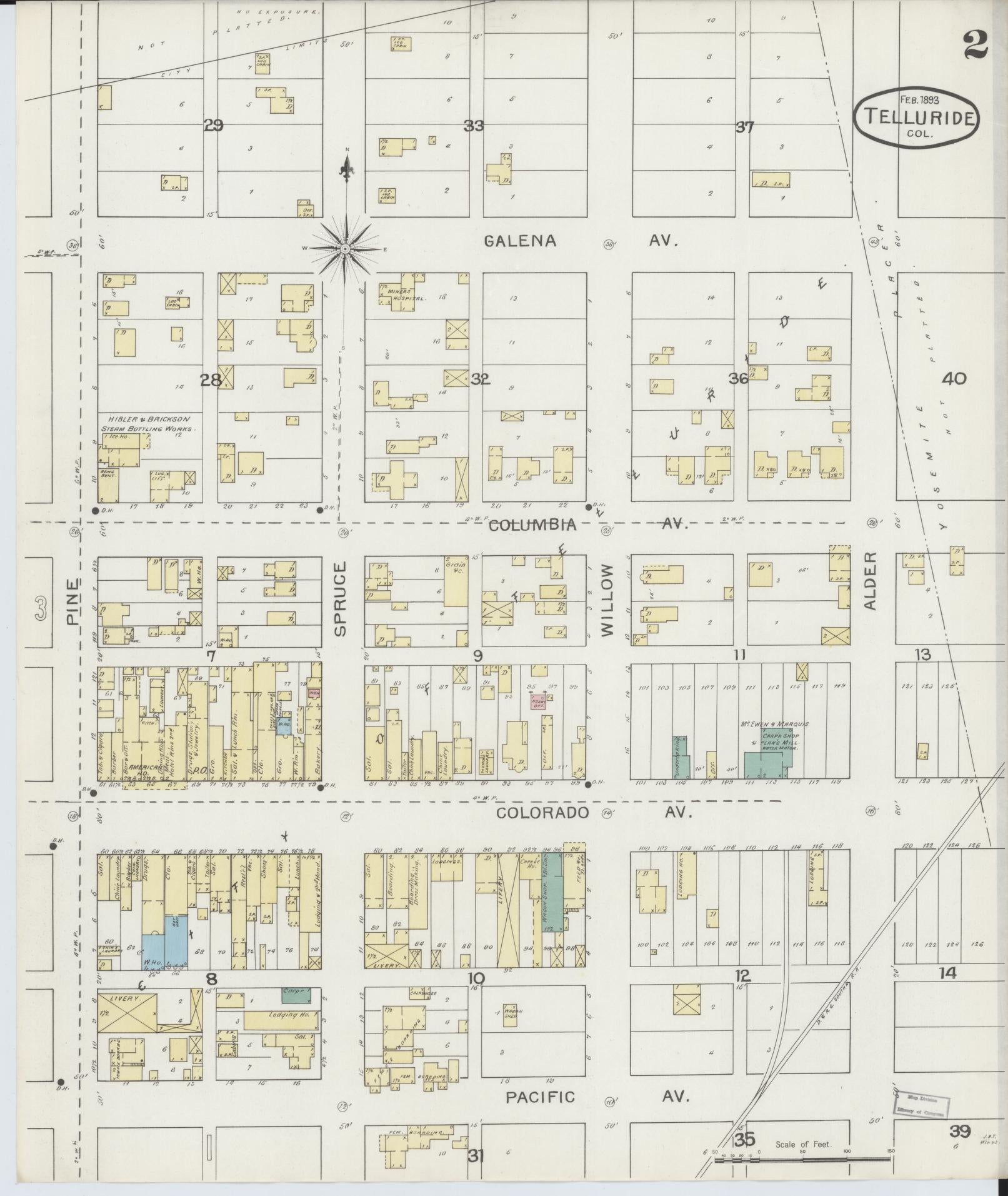 Sanborn Fire Insurance Map from Telluride, San Miguel County, Colorado (1893), Sheet #0002 - Historic Sanborn Fire Insurance Map Print, vintage old map wall art, antique decor, genealogy gift, Colorado Colorado map