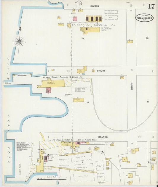 Sanborn Fire Insurance Map from Wilmington, New Hanover County, North Carolina (1904), Sheet #0017 - Historic Sanborn Fire Insurance Map Print, vintage old map wall art, antique decor, genealogy gift, North Carolina North Carolina map