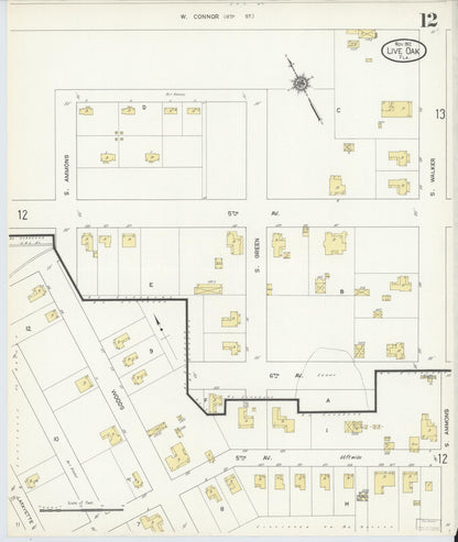 Sanborn Fire Insurance Map from Live Oak, Suwanee County, Florida (1912), Sheet #0012 - Historic Sanborn Fire Insurance Map Print, vintage old map wall art, antique decor, genealogy gift, Florida Florida map