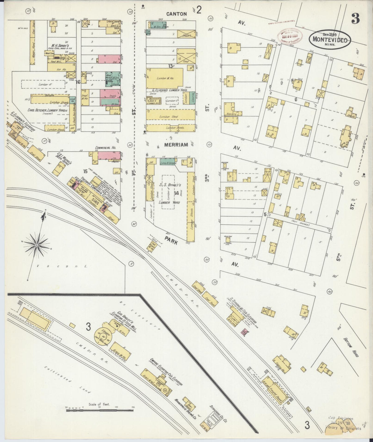 Sanborn Fire Insurance Map from Montevideo, Chippewa County, Minnesota (1899), Sheet #0003 - Historic Sanborn Fire Insurance Map Print, vintage old map wall art, antique decor, genealogy gift, Minnesota Minnesota map
