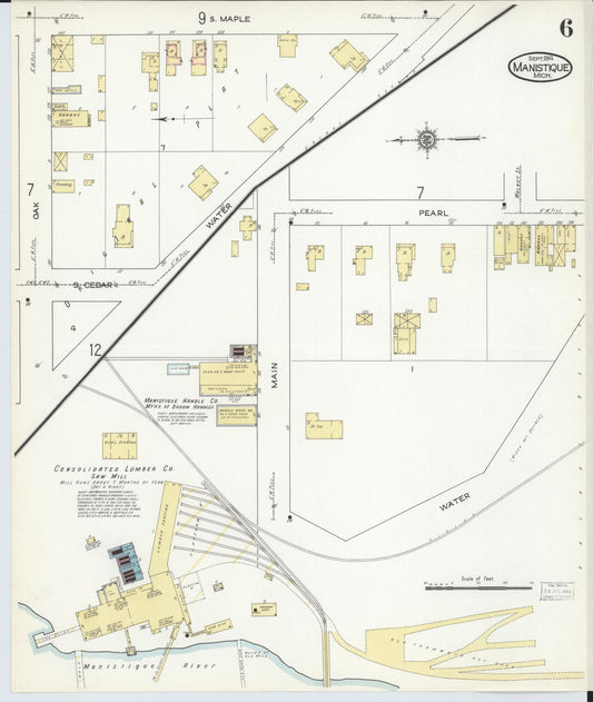 Sanborn Fire Insurance Map from Manistique, Schoolcraft County, Michigan (1914), Sheet #0006 - Historic Sanborn Fire Insurance Map Print, vintage old map wall art, antique decor, genealogy gift, Michigan Michigan map