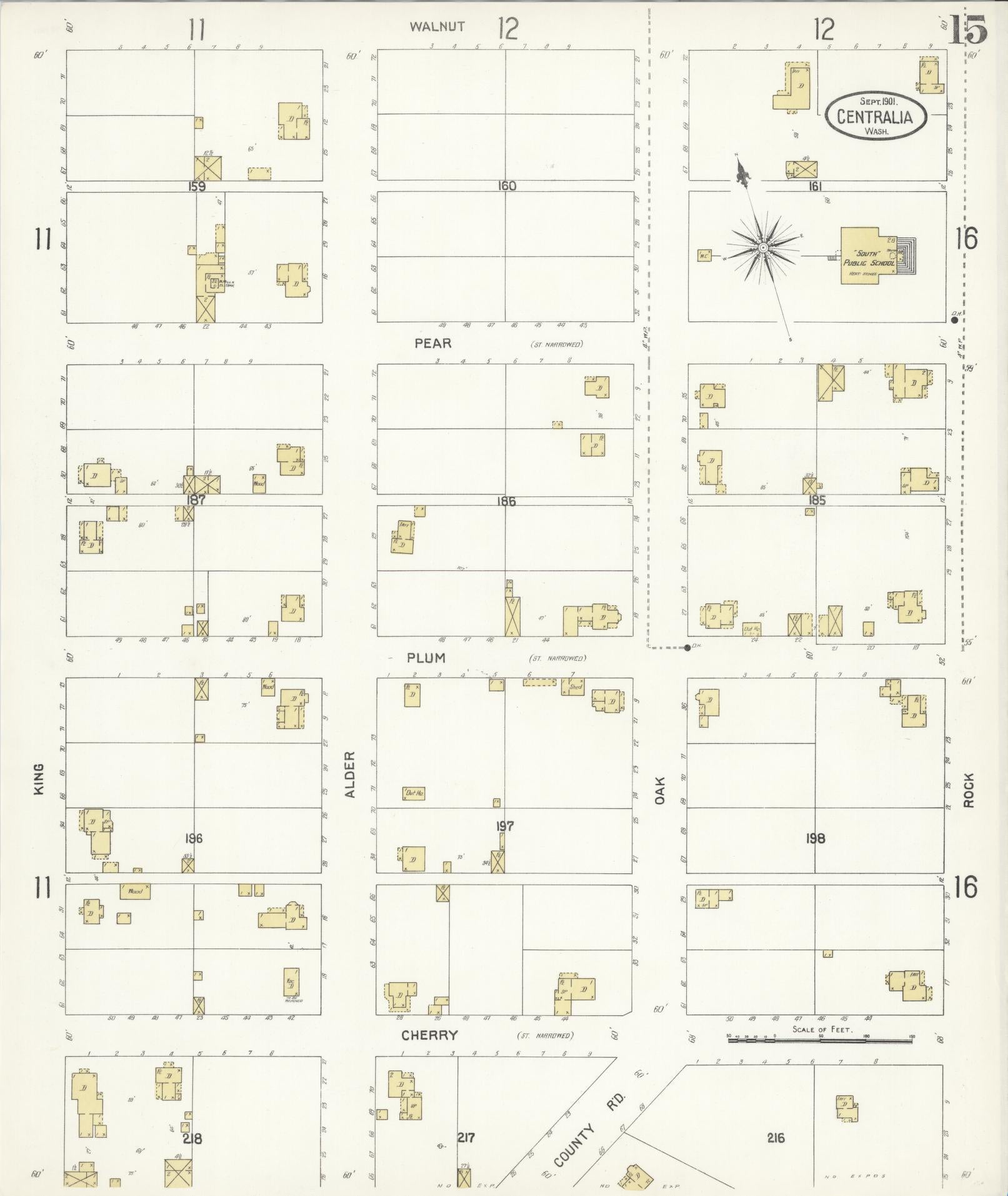 Sanborn Fire Insurance Map from Centralia, Lewis County, Washington (1901), Sheet #0015 - Complete Map Set gallery image, historic Sanborn map, vintage wall art, Washington Washington