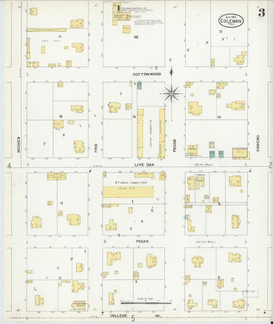 Sanborn Fire Insurance Map from Coleman, Coleman County, Texas (1904), Sheet #0003 - Historic Sanborn Fire Insurance Map Print, vintage old map wall art, antique decor, genealogy gift, Texas Texas map