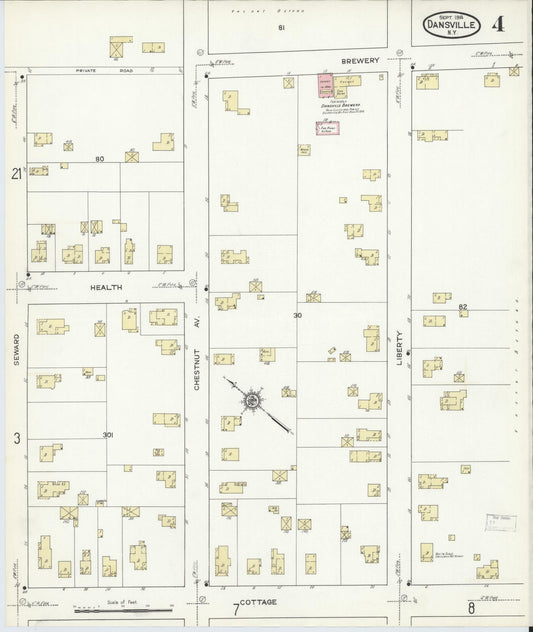 Sanborn Fire Insurance Map from Dansville, Livingston County, New York (1914), Sheet #0004 - Historic Sanborn Fire Insurance Map Print, vintage old map wall art, antique decor, genealogy gift, New York New York map
