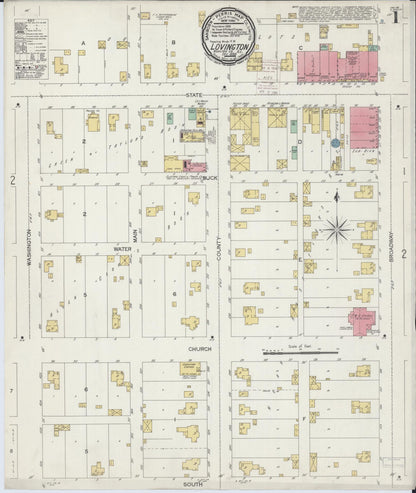 Sanborn Fire Insurance Map from Lovington, Moultrie County, Illinois (1899), Sheet #0001 - Complete Map Set gallery image, historic Sanborn map, vintage wall art, Illinois Illinois