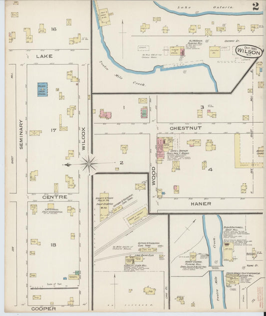 Sanborn Fire Insurance Map from Wilson, Niagara County, New York (1885), Sheet #0002 - Historic Sanborn Fire Insurance Map Print, vintage old map wall art, antique decor, genealogy gift, New York New York map