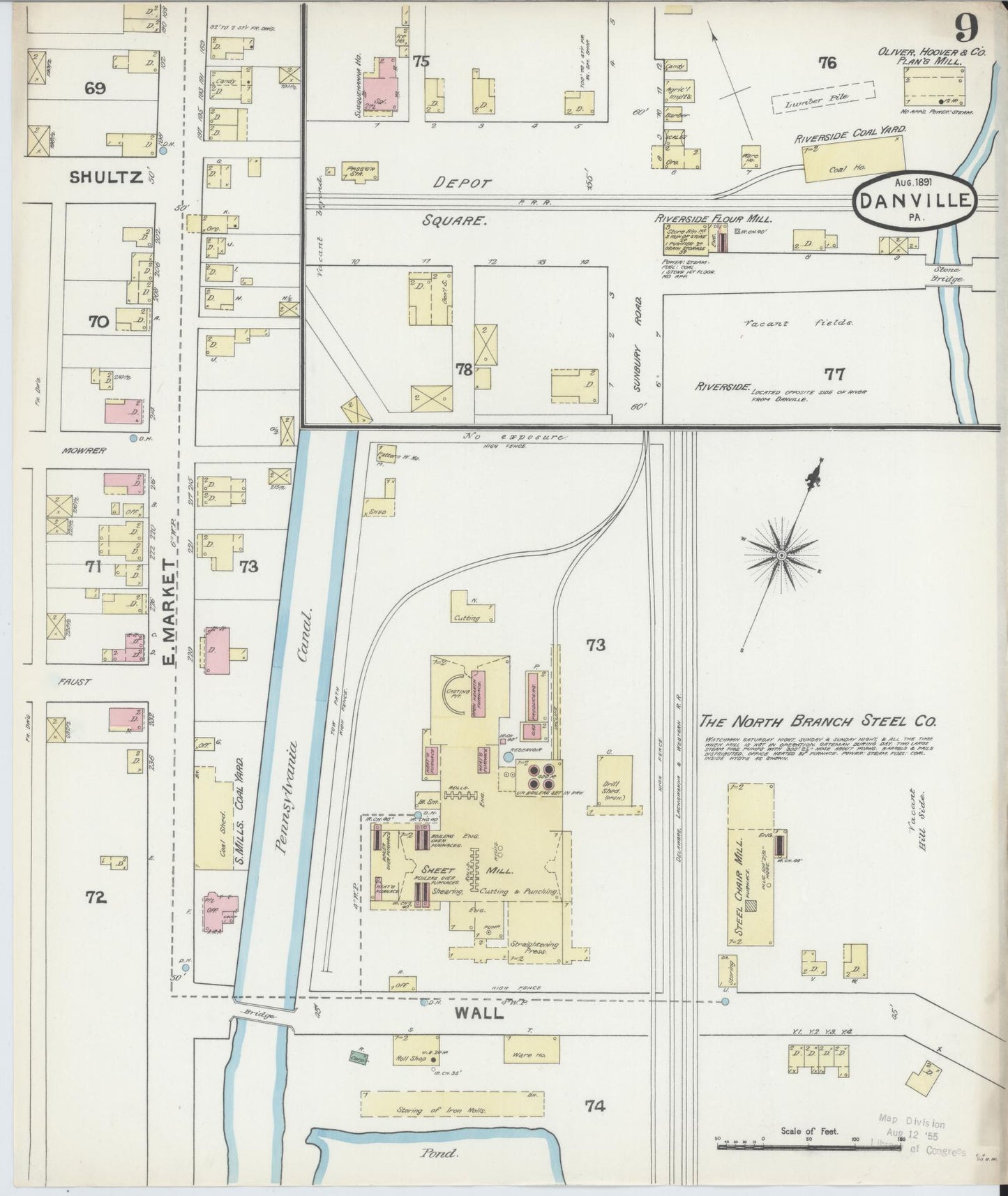 Sanborn Fire Insurance Map from Danville, Montour County, Pennsylvania (1891), Sheet #0009 - Historic Sanborn Fire Insurance Map Print, vintage old map wall art, antique decor, genealogy gift, Pennsylvania Pennsylvania map