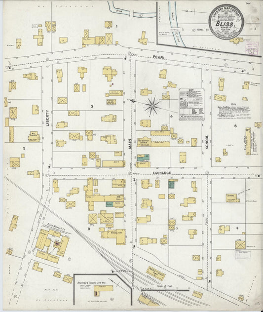 Sanborn Fire Insurance Map from Bliss, Wyoming County, New York (1905), Sheet #0001 - Historic Sanborn Fire Insurance Map Print, vintage old map wall art, antique decor, genealogy gift, New York New York map
