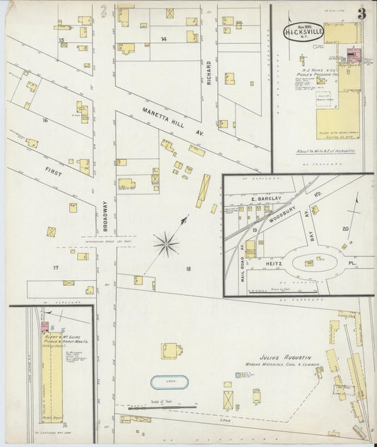 Sanborn Fire Insurance Map from Hicksville, Nassau County, New York (1895), Sheet #0003 - Historic Sanborn Fire Insurance Map Print, vintage old map wall art, antique decor, genealogy gift, New York New York map