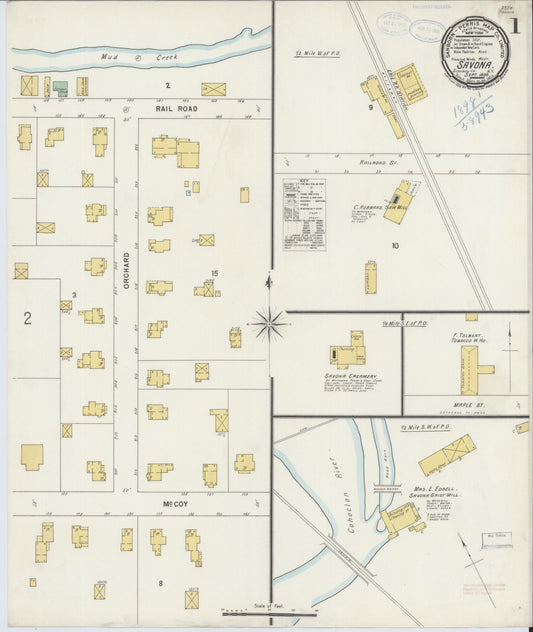 Sanborn Fire Insurance Map from Savona, Steuben County, New York (1898), Sheet #0001 - Complete Map Set gallery image, historic Sanborn map, vintage wall art, New York New York