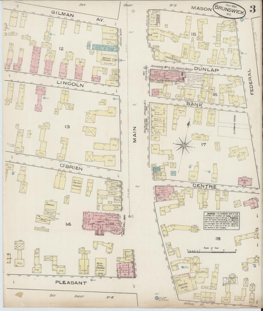 Sanborn Fire Insurance Map from Brunswick, Cumberland County, Maine (1884), Sheet #0003 - Historic Sanborn Fire Insurance Map Print, vintage old map wall art, antique decor, genealogy gift, Maine Maine map