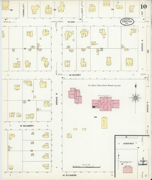 Sanborn Fire Insurance Map from Denton, Denton County, Texas (1907), Sheet #0010 - Historic Sanborn Fire Insurance Map Print, vintage old map wall art, antique decor, genealogy gift, Texas Texas map