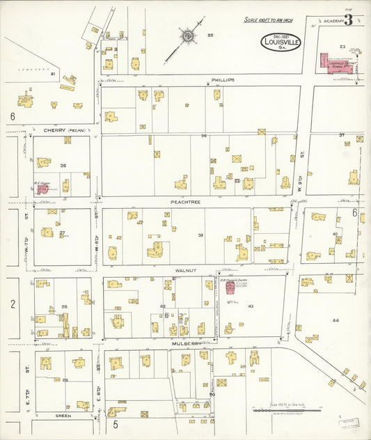 Sanborn Fire Insurance Map from Louisville, Jefferson County, Georgia (1921), Sheet #0003 - Historic Sanborn Fire Insurance Map Print, vintage old map wall art, antique decor, genealogy gift, Georgia Georgia map