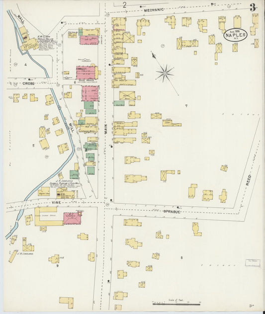Sanborn Fire Insurance Map from Naples, Ontario County, New York (1898), Sheet #0003 - Historic Sanborn Fire Insurance Map Print, vintage old map wall art, antique decor, genealogy gift, New York New York map