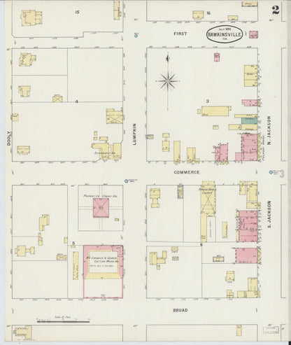 Sanborn Fire Insurance Map from Hawkinsville, Pulaski County, Georgia (1895), Sheet #0002 - Complete Map Set gallery image, historic Sanborn map, vintage wall art, Georgia Georgia