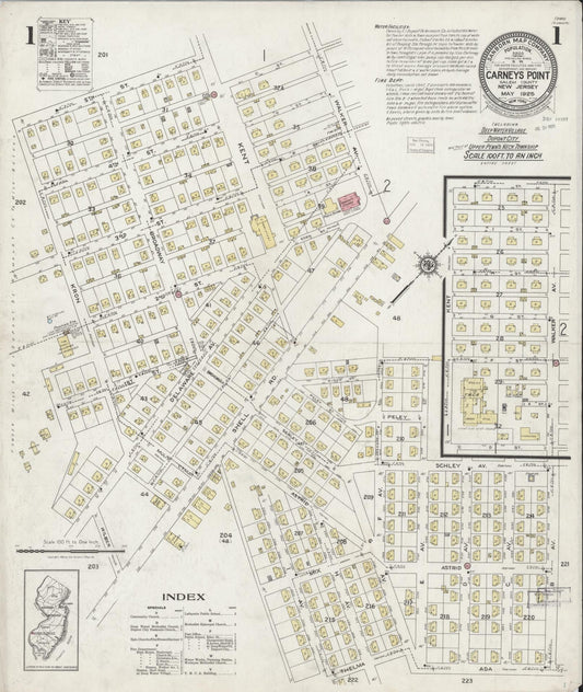 Sanborn Fire Insurance Map from Carneys Point, Salem County, New Jersey (1925), Sheet #0001 - Historic Sanborn Fire Insurance Map Print, vintage old map wall art, antique decor, genealogy gift, New Jersey New Jersey map