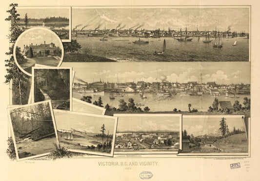 Victoria, B.C. and vicinity 1884. (1884) – Historic Bird’s-Eye View Panorama Print