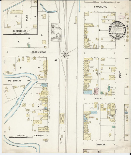 Sanborn Fire Insurance Map from Shoshone, Lincoln County, Idaho (1888), Sheet #0001 - Historic Sanborn Fire Insurance Map Print, vintage old map wall art, antique decor, genealogy gift, Idaho Idaho map