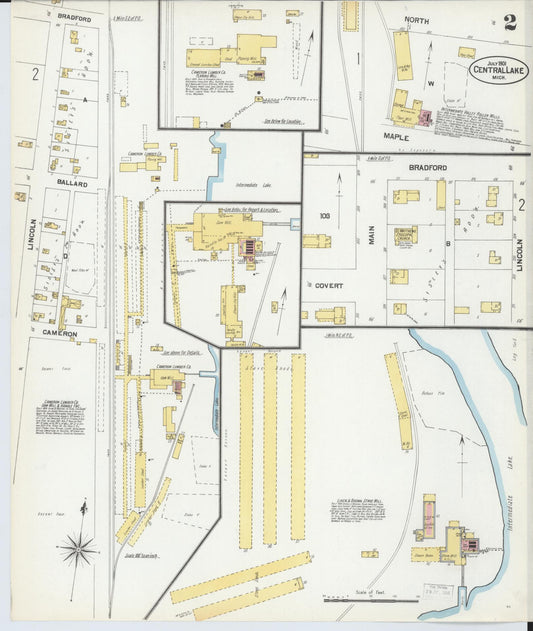 Sanborn Fire Insurance Map from Central Lake, Antrim County, Michigan (1901), Sheet #0002 - Historic Sanborn Fire Insurance Map Print, vintage old map wall art, antique decor, genealogy gift, Michigan Michigan map