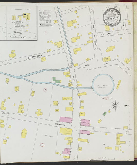 Sanborn Fire Insurance Map from Springville, Saint Clair County, Alabama. (1909) – Historic Sanborn Fire Insurance Map Print