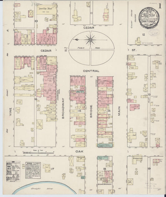 Sanborn Fire Insurance Map from Owatonna, Steele County, Minnesota (1884), Sheet #0001 - Historic Sanborn Fire Insurance Map Print, vintage old map wall art, antique decor, genealogy gift, Minnesota Minnesota map
