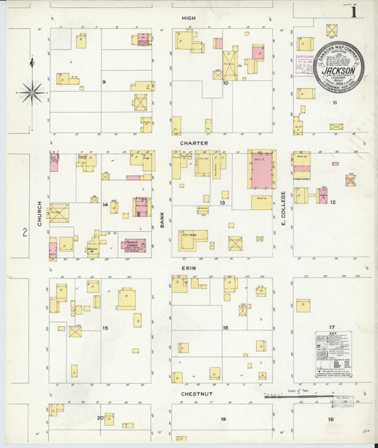 Sanborn Fire Insurance Map from Jackson, East Feliciana Parish, Louisiana (1908), Sheet #0001 - Historic Sanborn Fire Insurance Map Print, vintage old map wall art, antique decor, genealogy gift, Louisiana Louisiana map