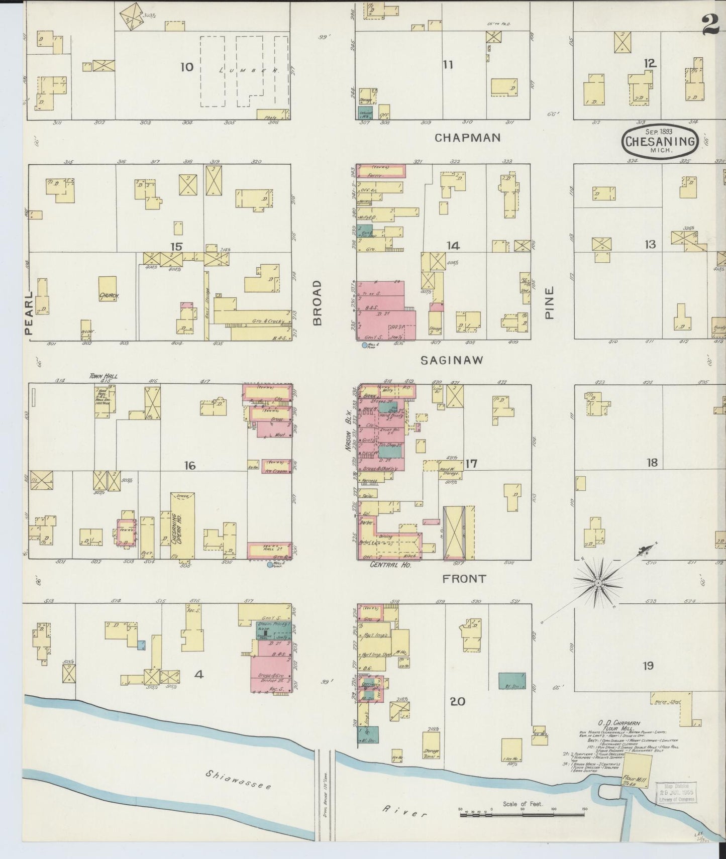 Sanborn Fire Insurance Map from Chesaning, Saginaw County, Michigan (1893), Sheet #0002 - Historic Sanborn Fire Insurance Map Print, vintage old map wall art, antique decor, genealogy gift, Michigan Michigan map