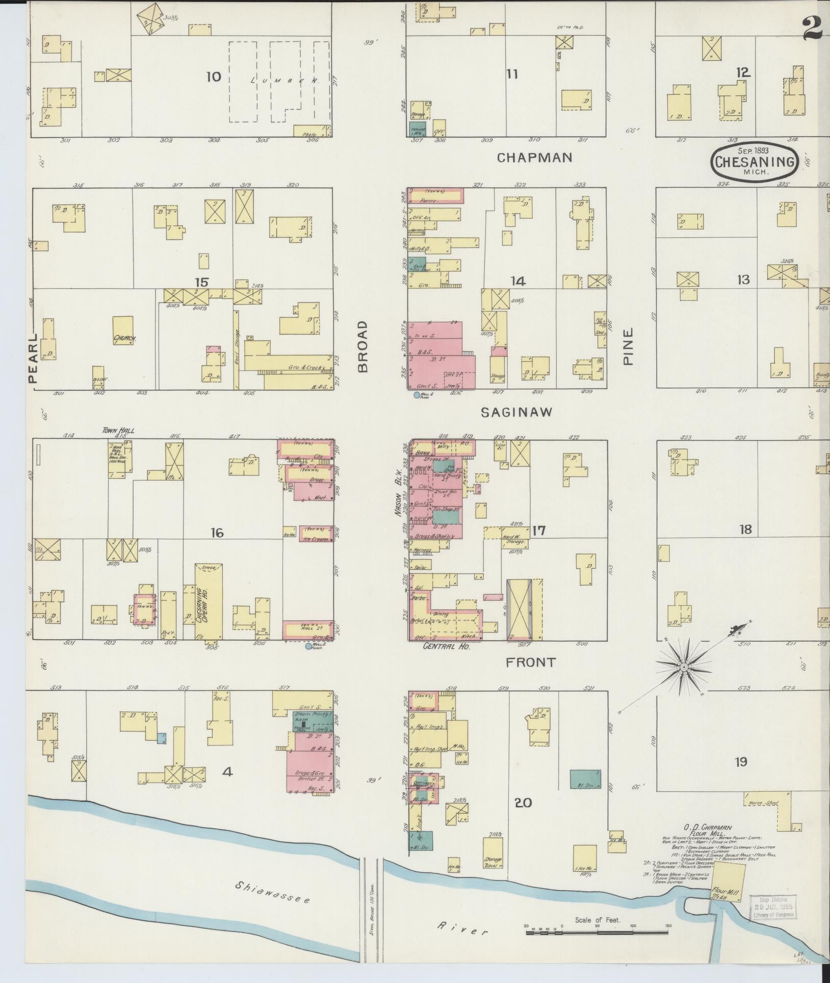Sanborn Fire Insurance Map from Chesaning, Saginaw County, Michigan (1893), Sheet #0002 - Historic Sanborn Fire Insurance Map Print, vintage old map wall art, antique decor, genealogy gift, Michigan Michigan map