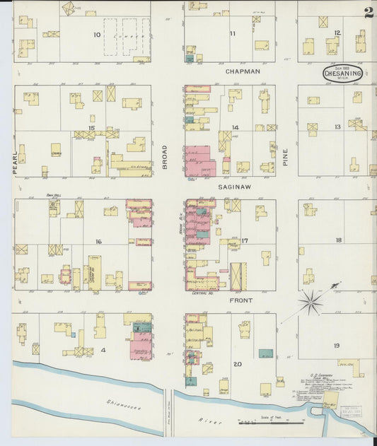 Sanborn Fire Insurance Map from Chesaning, Saginaw County, Michigan (1893), Sheet #0002 - Historic Sanborn Fire Insurance Map Print, vintage old map wall art, antique decor, genealogy gift, Michigan Michigan map
