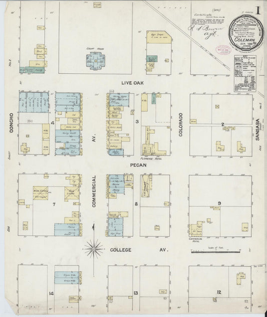 Sanborn Fire Insurance Map from Coleman, Coleman County, Texas (1888), Sheet #0001 - Complete Map Set gallery image, historic Sanborn map, vintage wall art, Texas Texas
