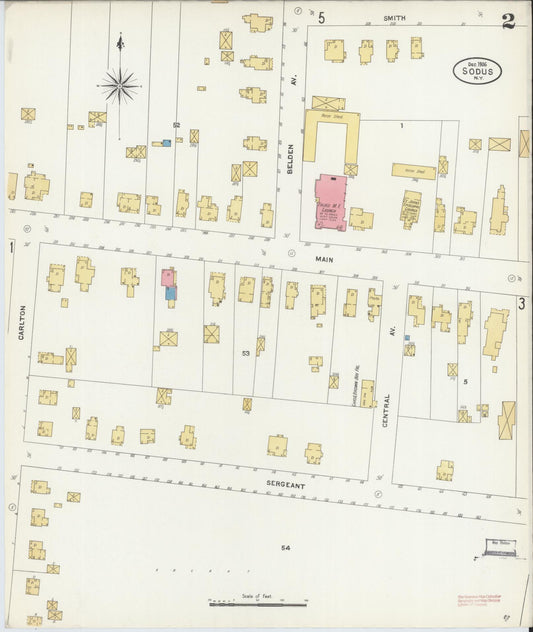 Sanborn Fire Insurance Map from Sodus, Wayne County, New York (1906), Sheet #0002 - Historic Sanborn Fire Insurance Map Print, vintage old map wall art, antique decor, genealogy gift, New York New York map