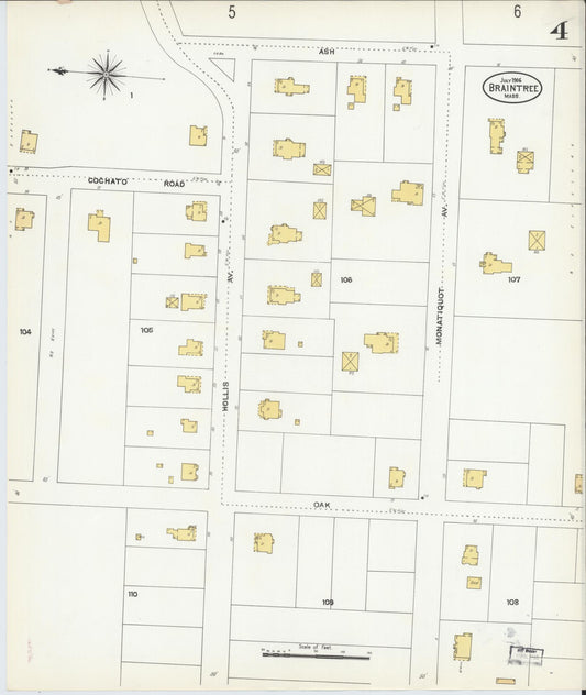 Sanborn Fire Insurance Map from Braintree, Norfolk County, Massachusetts (1906), Sheet #0004 - Historic Sanborn Fire Insurance Map Print, vintage old map wall art, antique decor, genealogy gift, Massachusetts Massachusetts map