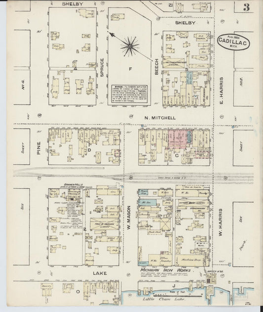 Sanborn Fire Insurance Map from Cadillac, Wexford County, Michigan (1884), Sheet #0003 - Historic Sanborn Fire Insurance Map Print, vintage old map wall art, antique decor, genealogy gift, Michigan Michigan map