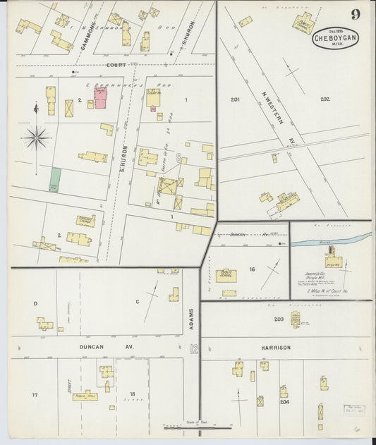 Sanborn Fire Insurance Map from Cheboygan, Cheboygan County, Michigan (1895), Sheet #0009 - Historic Sanborn Fire Insurance Map Print, vintage old map wall art, antique decor, genealogy gift, Michigan Michigan map