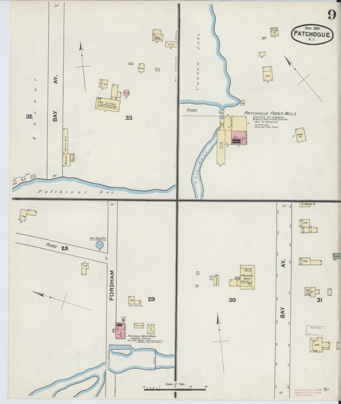 Sanborn Fire Insurance Map from Patchogue, Suffolk County, New York (1891), Sheet #0009 - Historic Sanborn Fire Insurance Map Print, vintage old map wall art, antique decor, genealogy gift, New York New York map
