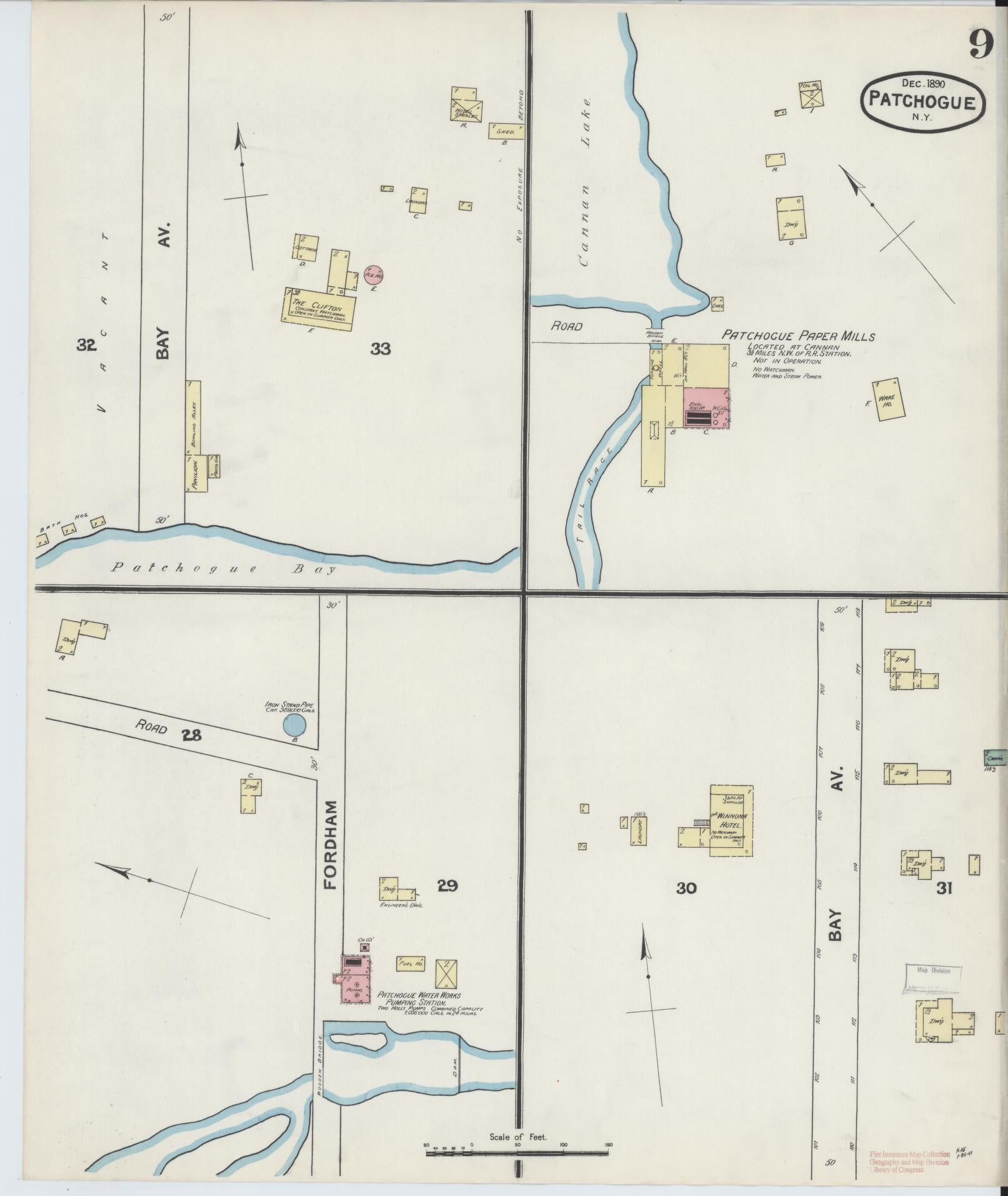 Sanborn Fire Insurance Map from Patchogue, Suffolk County, New York (1891), Sheet #0009 - Historic Sanborn Fire Insurance Map Print, vintage old map wall art, antique decor, genealogy gift, New York New York map
