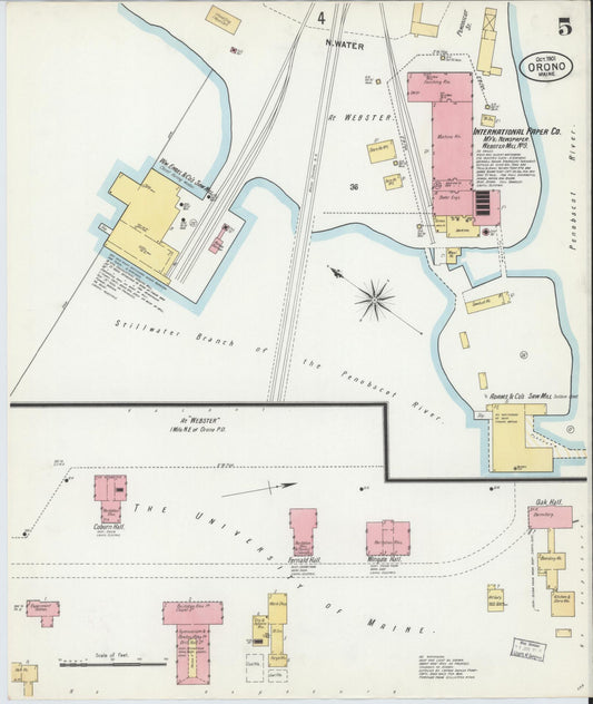 Sanborn Fire Insurance Map from Orono, Penobscot County, Maine (1901), Sheet #0005 - Historic Sanborn Fire Insurance Map Print, vintage old map wall art, antique decor, genealogy gift, Maine Maine map