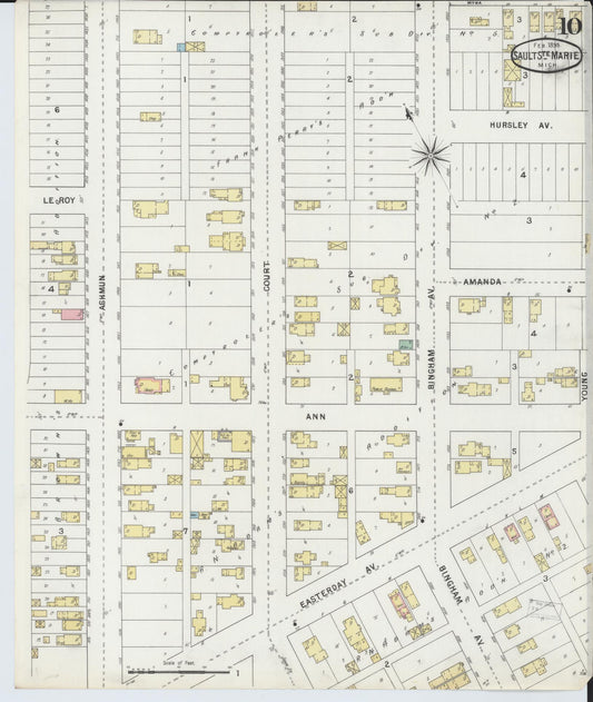Sanborn Fire Insurance Map from Sault Sainte Marie, Chippewa County, Michigan (1895), Sheet #0010 - Historic Sanborn Fire Insurance Map Print, vintage old map wall art, antique decor, genealogy gift, Michigan Michigan map