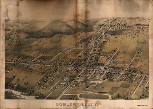Cobleskill, N.Y., 1883 (1883) – Historic Bird’s-Eye View Panorama Print