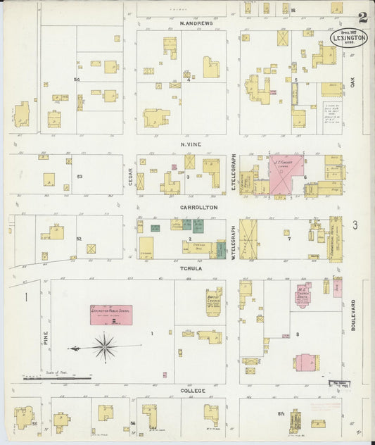 Sanborn Fire Insurance Map from Lexington, Holmes County, Mississippi (1907), Sheet #0002 - Historic Sanborn Fire Insurance Map Print, vintage old map wall art, antique decor, genealogy gift, Mississippi Mississippi map