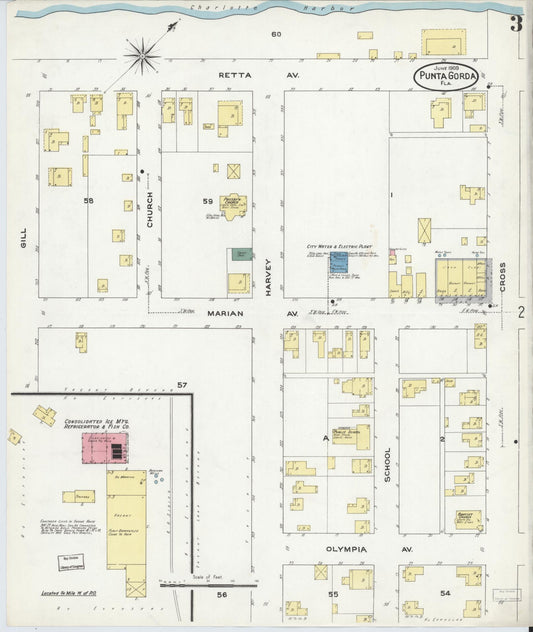 Sanborn Fire Insurance Map from Punta Gorda, Charlotte County, Florida (1909), Sheet #0003 - Historic Sanborn Fire Insurance Map Print, vintage old map wall art, antique decor, genealogy gift, Florida Florida map
