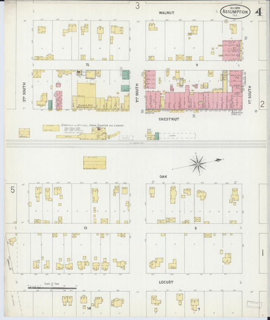 Sanborn Fire Insurance Map from Assumption, Christian County, Illinois (1899), Sheet #0004 - Historic Sanborn Fire Insurance Map Print, vintage old map wall art, antique decor, genealogy gift, Illinois Illinois map