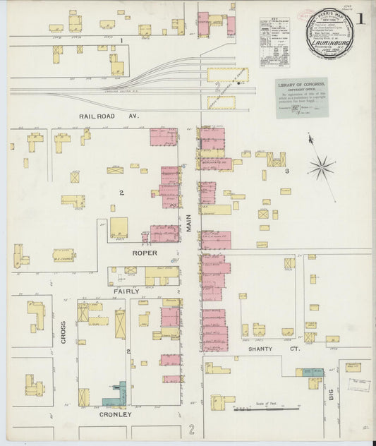 Sanborn Fire Insurance Map from Laurinburg, Scotland County, North Carolina (1893), Sheet #0001 - Historic Sanborn Fire Insurance Map Print, vintage old map wall art, antique decor, genealogy gift, North Carolina North Carolina map