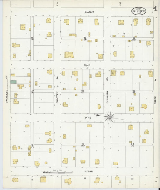 Sanborn Fire Insurance Map from Sallisaw, Sequoyah County, Oklahoma (1904), Sheet #0004 - Historic Sanborn Fire Insurance Map Print, vintage old map wall art, antique decor, genealogy gift, Oklahoma Oklahoma map