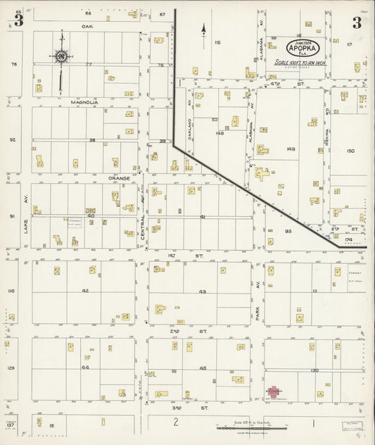 Sanborn Fire Insurance Map from Apopka, Orange County, Florida (1924), Sheet #0003 - Historic Sanborn Fire Insurance Map Print, vintage old map wall art, antique decor, genealogy gift, Florida Florida map