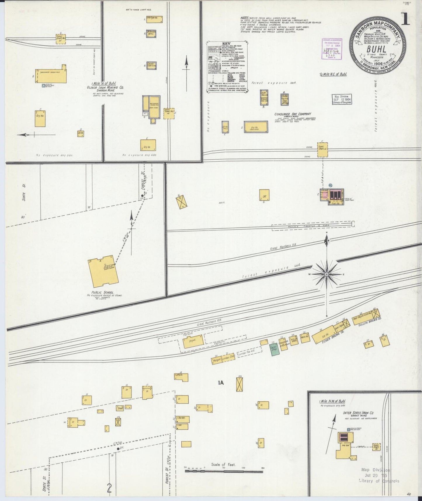 Sanborn Fire Insurance Map from Buhl, Saint Louis County, Minnesota (1904), Sheet #0001 - Historic Sanborn Fire Insurance Map Print, vintage old map wall art, antique decor, genealogy gift, Minnesota Minnesota map