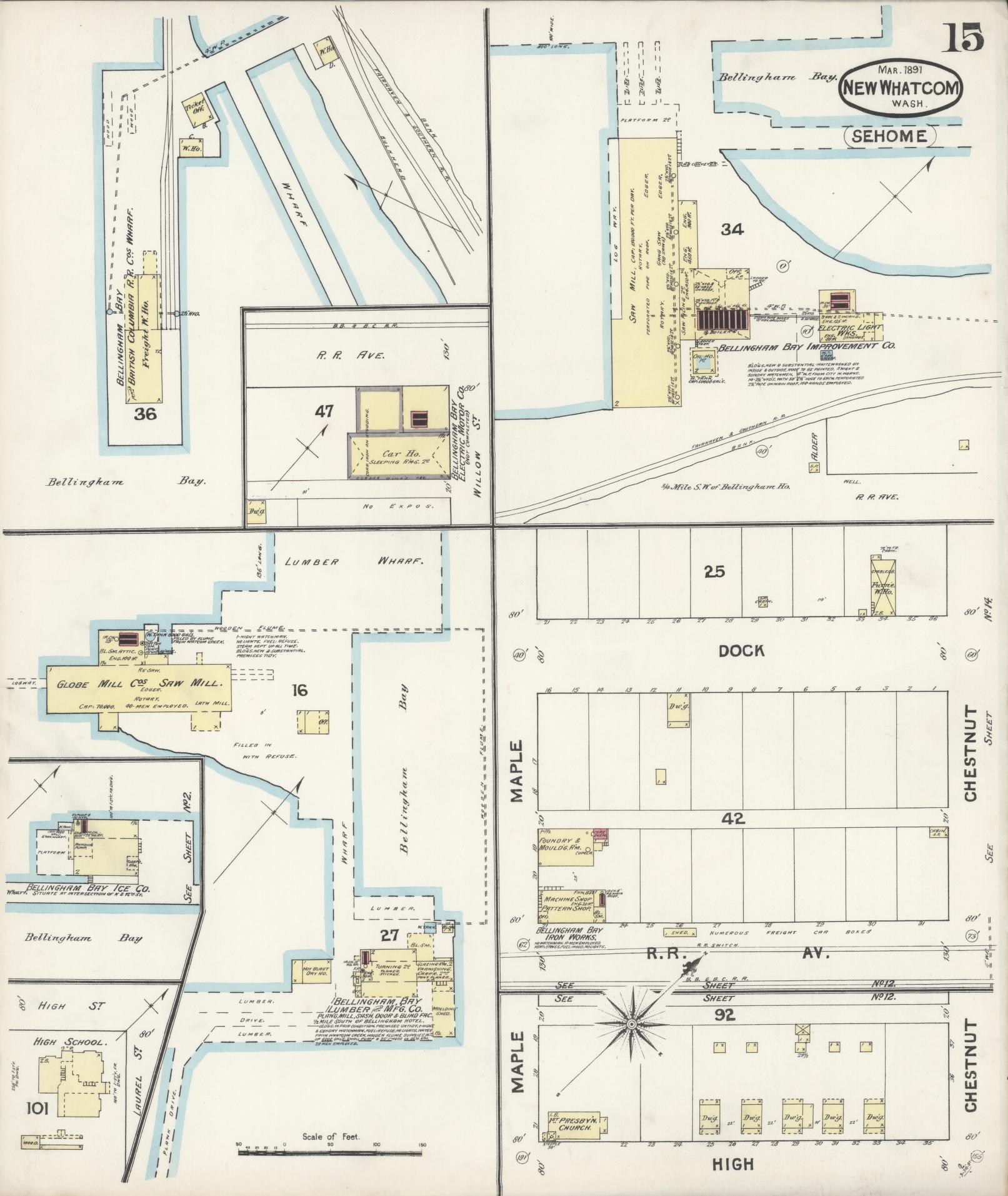 Sanborn Fire Insurance Map from New Whatcom, Whatcom County, Washington (1891), Sheet #0015 - Historic Sanborn Fire Insurance Map Print, vintage old map wall art, antique decor, genealogy gift, Washington Washington map